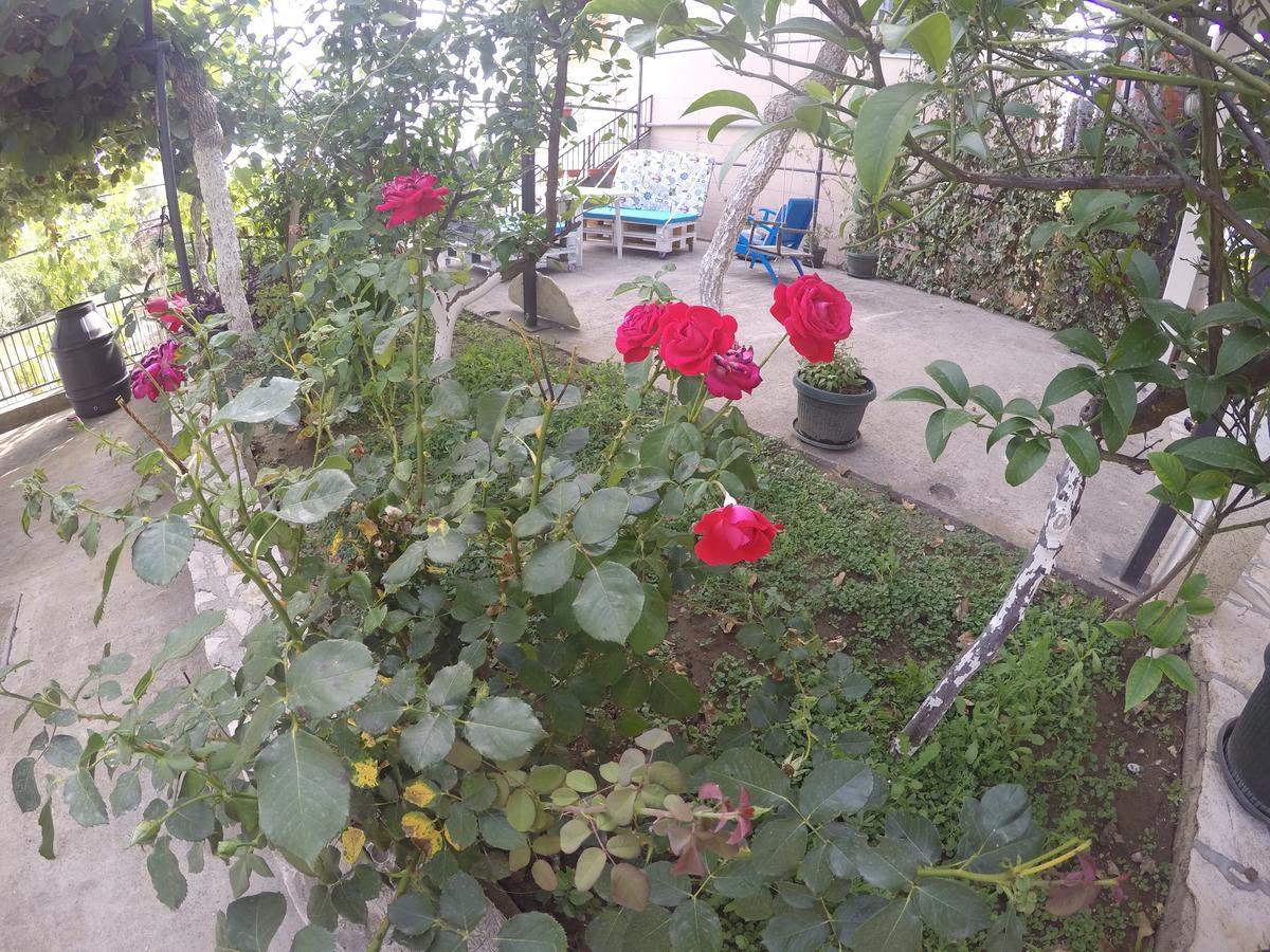 Holiday Home Free Your Mind โดบราวอดา ภายนอก รูปภาพ